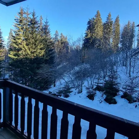 Apartment Cedar Heights 1 виванко а7 Pamporovo