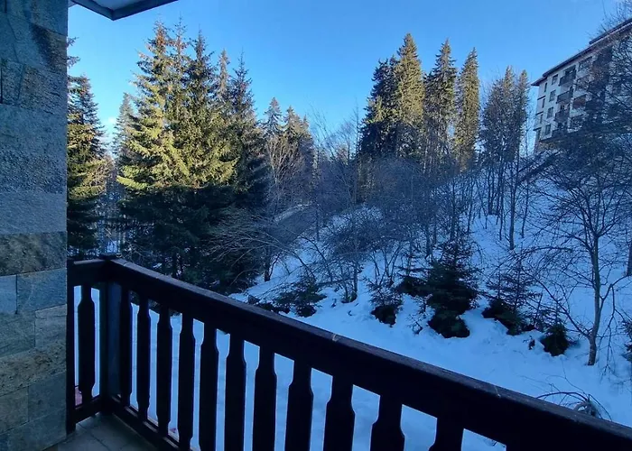 Apartment Cedar Heights 1 виванко а7 Pamporovo